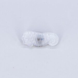 Vintage Czech Glass Button, White Moonglow Seahorse, 21mm